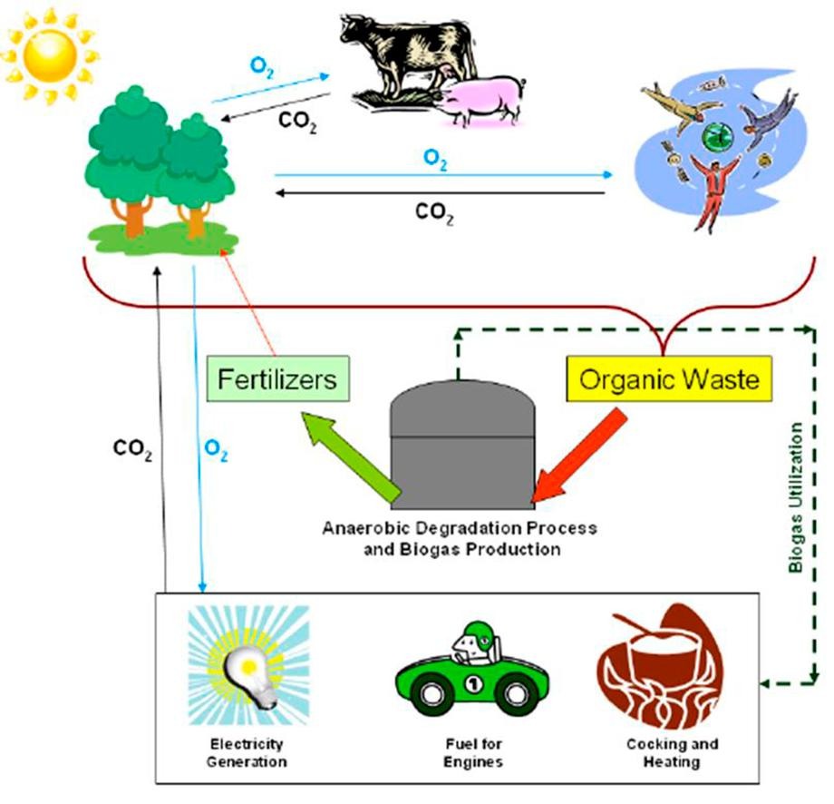 1-s2.0-S2211715624002455-ga1_lrg